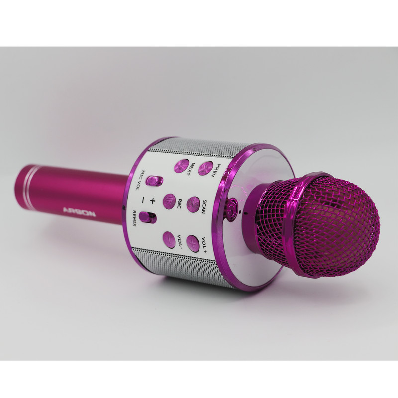 میکروفون اسپیکر آرسون مدل AN-858