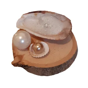 شمع مدل صدفی کد 640