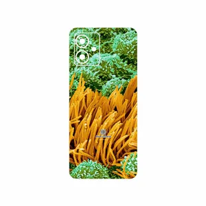 MAHOOT Atom Universe 6 Cover Sticker for Motorola Moto G14