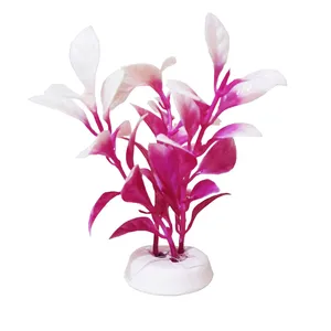 گیاه تزیینی آکواریوم کد A1