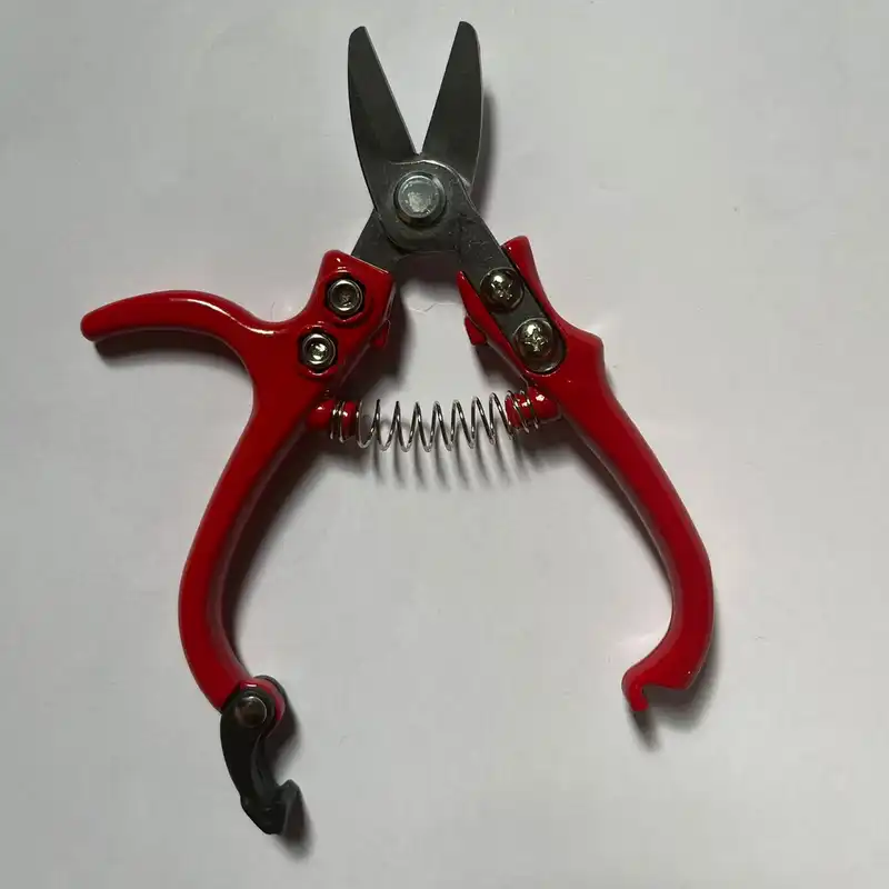 قیچی میوه چینی کامیکازه مدل 3293