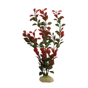 گیاه تزیینی آکواریوم مدل لودویجیا