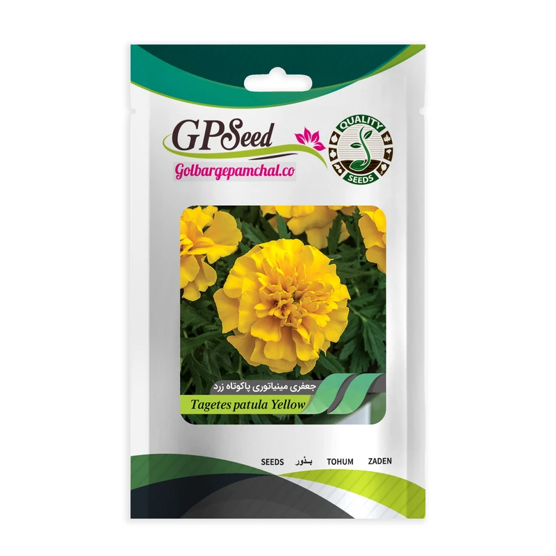 بذر گل جعفری مینیاتوری زرد گلبرگ پامچال کد GPF-041