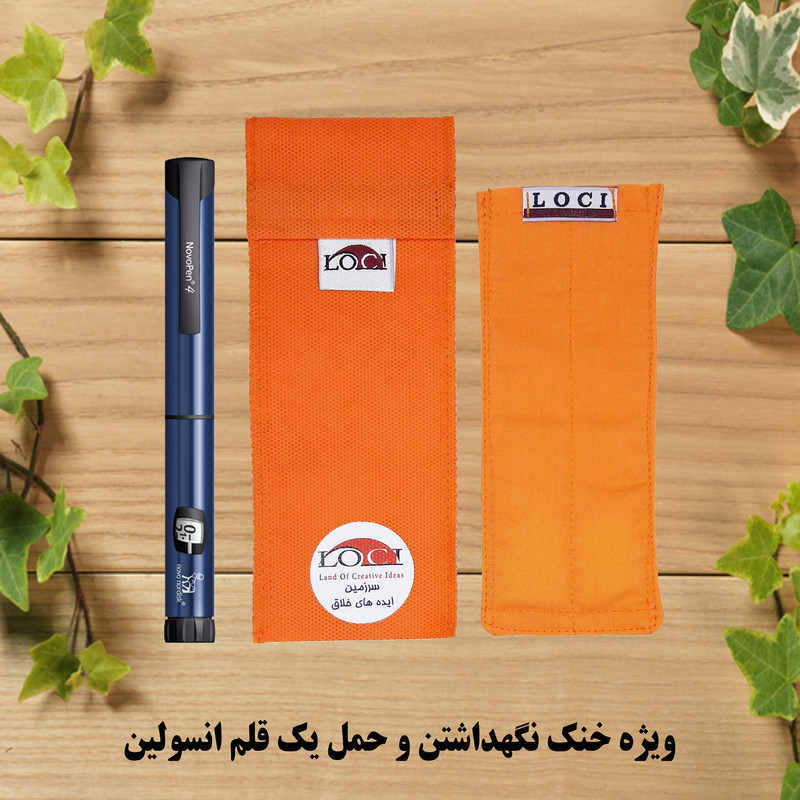 کیف خنک نگهدارنده انسولین لوک آی مدل 1 قلم کد 00 مجموعه 2 عددی