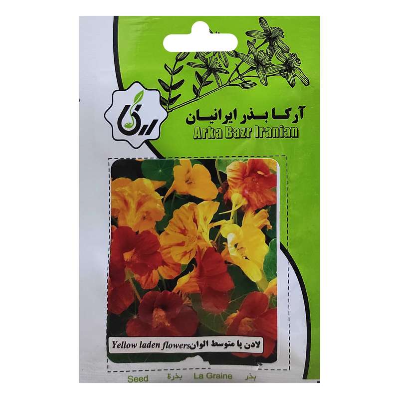 بذر لادن پامتوسط الوان آرکا بذر ایرانیان کد ARK-020