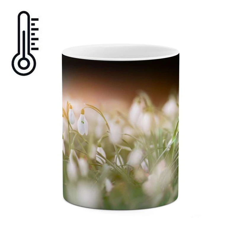 ماگ حرارتی کاکتی مدل گل کد mgh16229