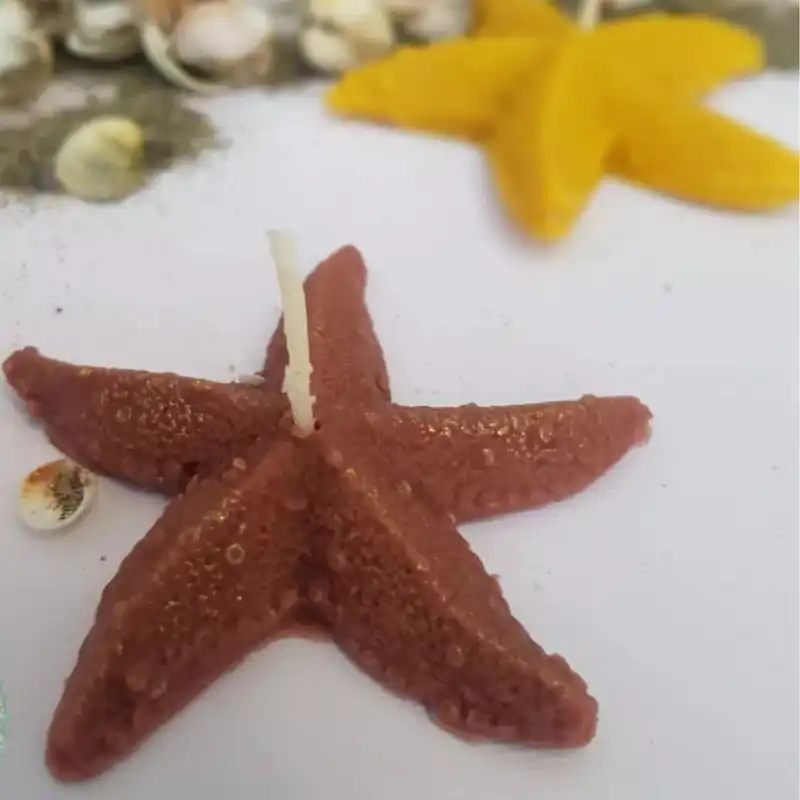 قالب شمع مدل ستاره دریایی