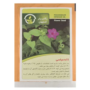 Pakan Bazr Four Oclock Flower Seeds