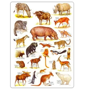 برچسب مدل حیوانات