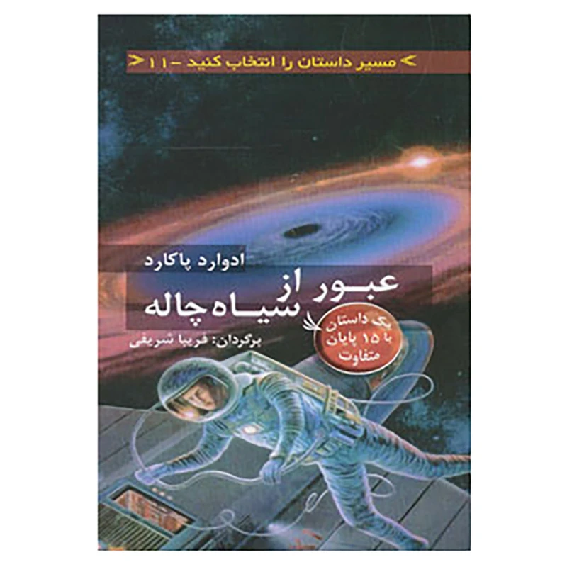 کتاب مسیر داستان را انتخاب کنید11 اثر ادوارد پاکارد