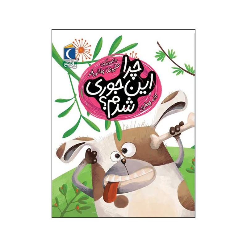 کتاب چرا این جوری شدم اثر لاله جعفری نشر محراب قلم
