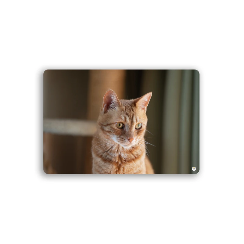 ماوس پد مخصوص بازی شادیت مدل گربه کد1377 سایز37*24سانتیمتر