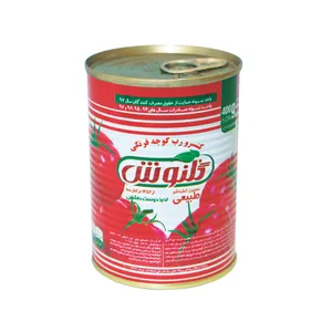 رب گوجه فرنگی گلنوش 400گرمی