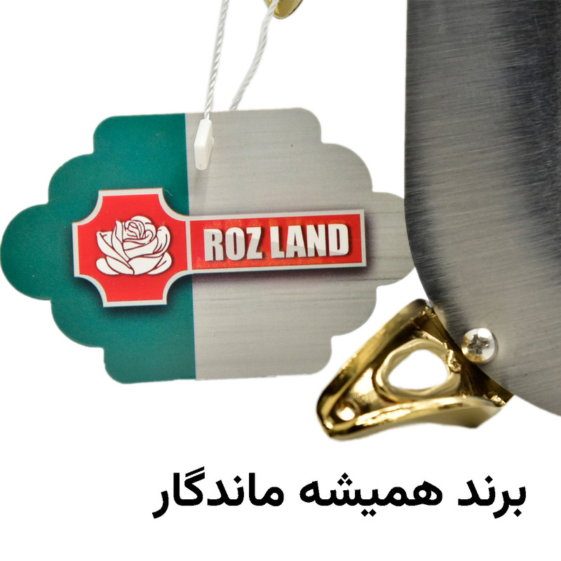 سینی رزلند مدل قایقی کد DTB