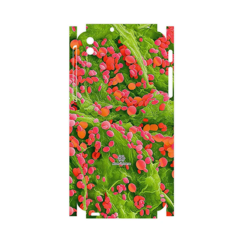 برچسب پوششی ماهوت مدل Atom Universe 3-FullSkin مناسب برای گوشی موبایل اچ تی سی Desire 816