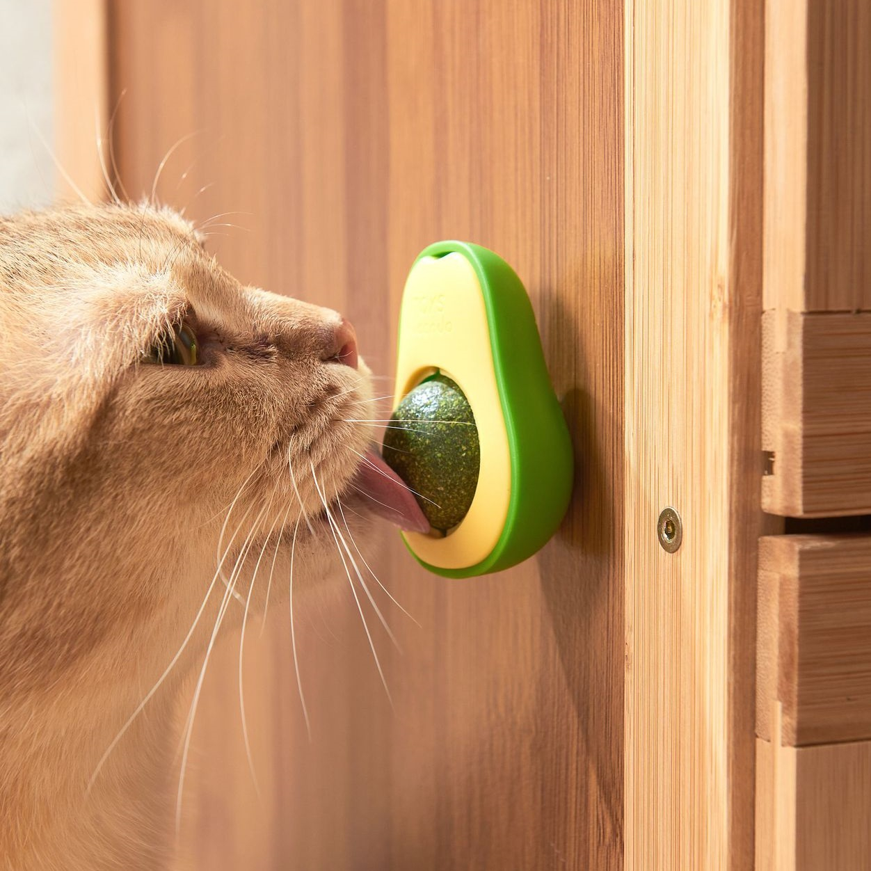 تشویقی گربه مدل آووکادو وزن 60 گرم