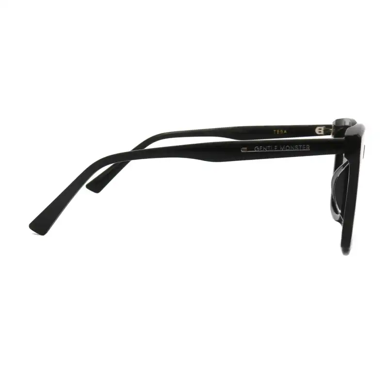 عینک آفتابی جنتل مانستر مدل TEGA