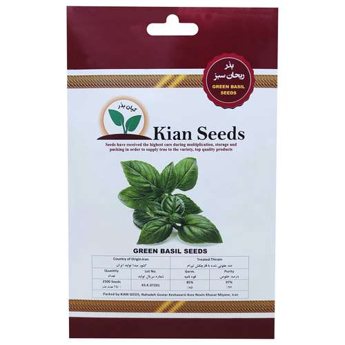 بذر ریحان سبز کیان بذر کد KBZ-05