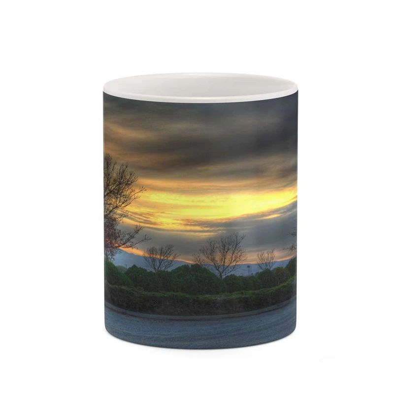 ماگ کاکتی مدل منظره کد mgh20790