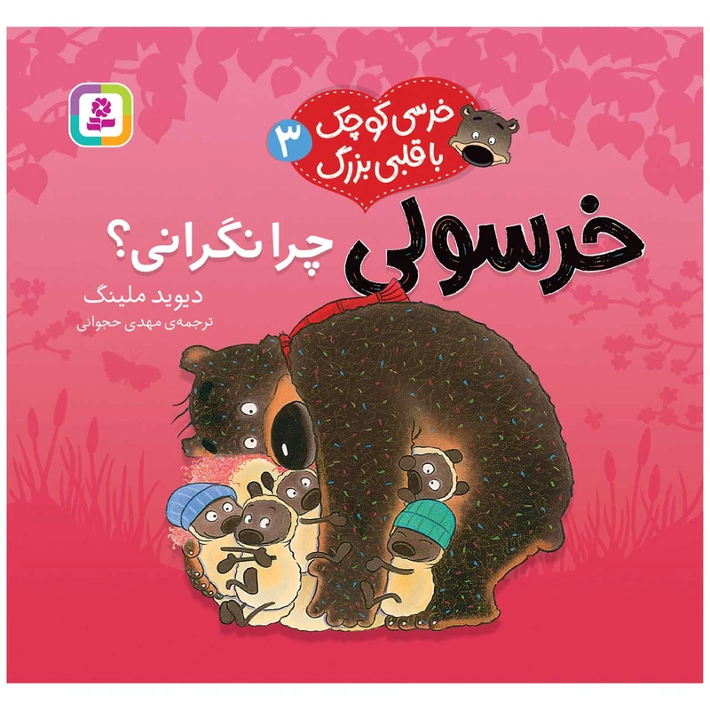 کتاب خرسی کوچک با قلبی بزرگ 3 خرسولی چرا نگرانی؟ اثر دیوید ملینگ انتشارات قدیانی
