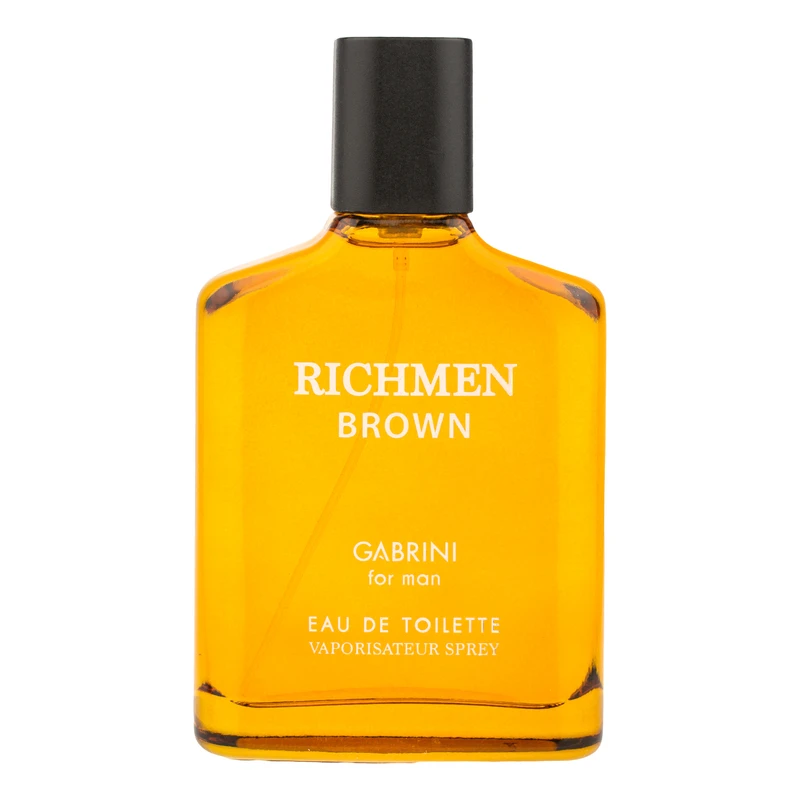 ادو تویلت مردانه گابرینی مدل Richmen با رایحه معتدل حجم 100 میلی لیتر
