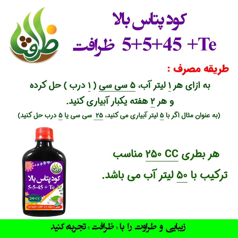 عکس شماره 3