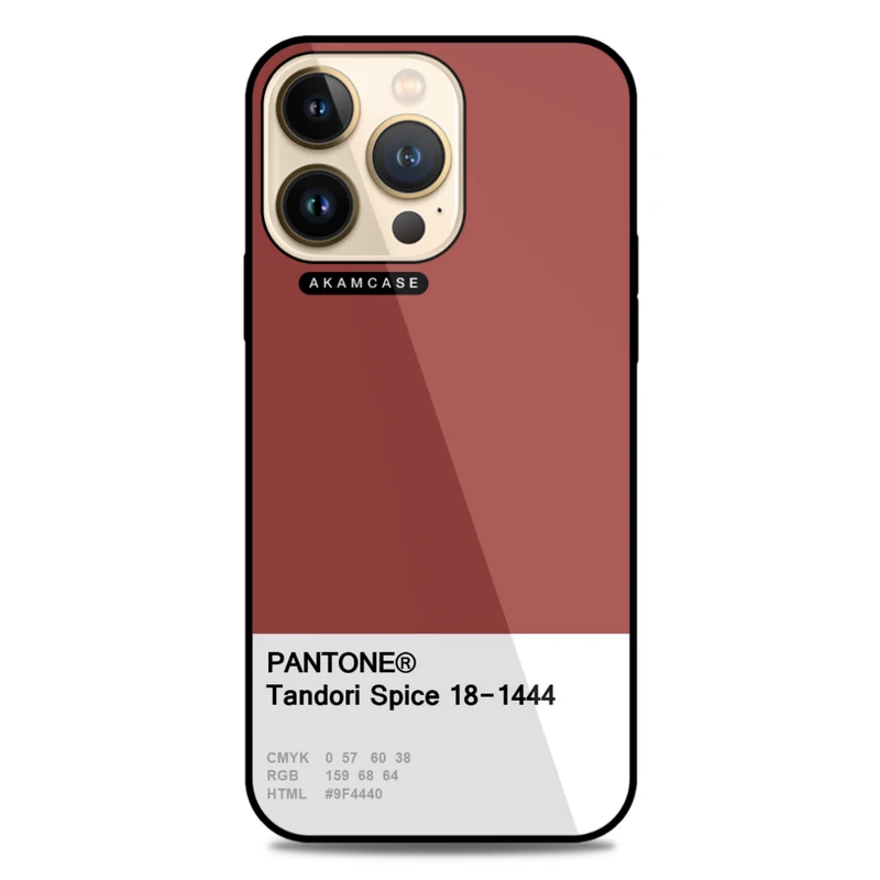 کاور آکام مدل AMC-WA13PRO-PANTONE-20 مناسب برای گوشی موبایل اپل iPhone 13 Pro
