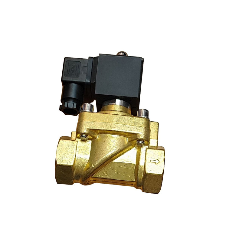 شیر برقی پنوماتیک ای اس ان مدل ESN-XSG-25 1inch 220V 75bar