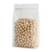 مغز فندق شور - 500 گرم