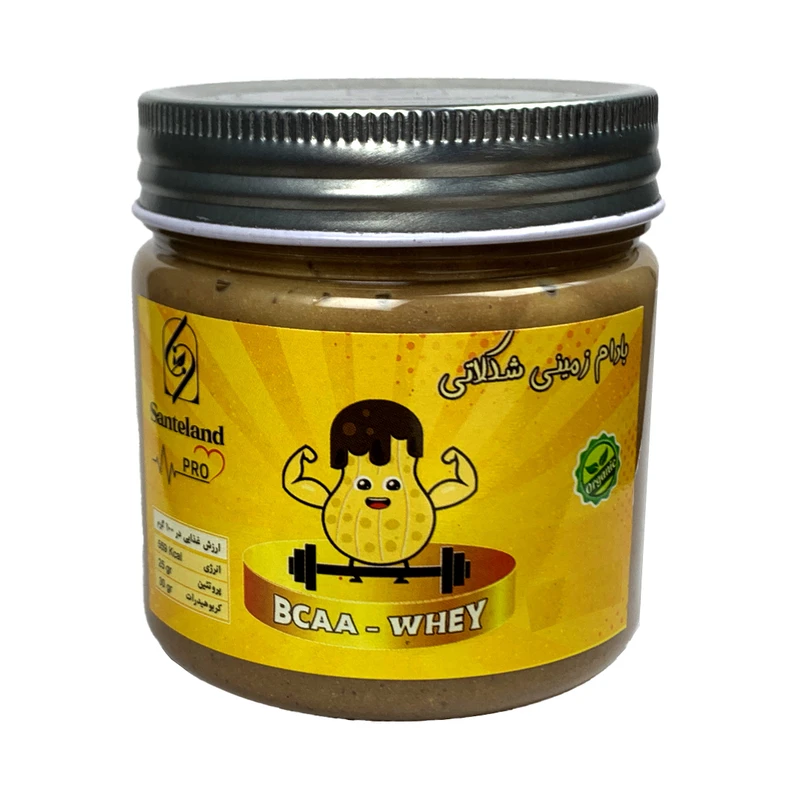 کره بادام زمینی شوکو پرو سانته لند - 300 گرم