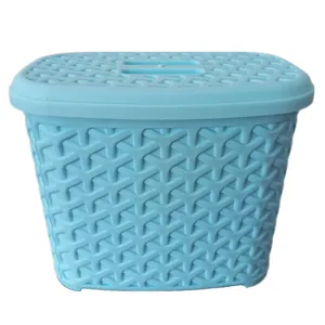 ظرف نگهدارنده مدل حصیری