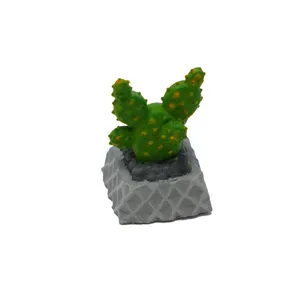 دکمه کیبورد مدل کاکتوس