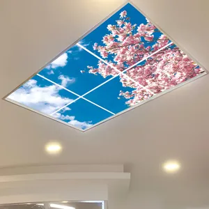 تایل سقفی آسمان مجازی مدل SK-432-2x3 سایز 60x60 مجموعه شش عددی