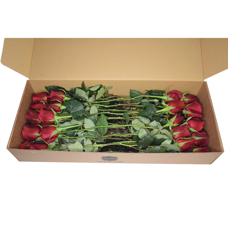 شاخه گل رز هلندی قرمز دسته 20 عددی