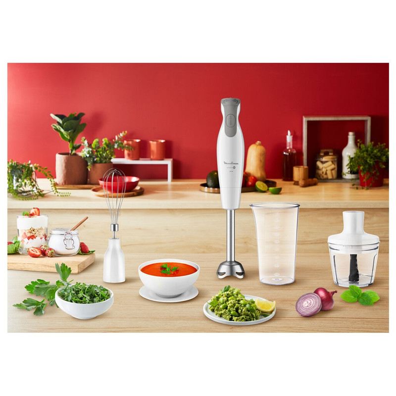 گوشت کوب برقی مولینکس مدل DD553110