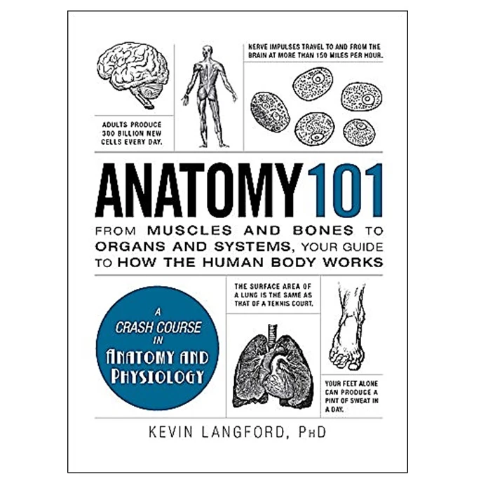 کتاب Anatomy 101 اثر Kevin Langford انتشارات Adams