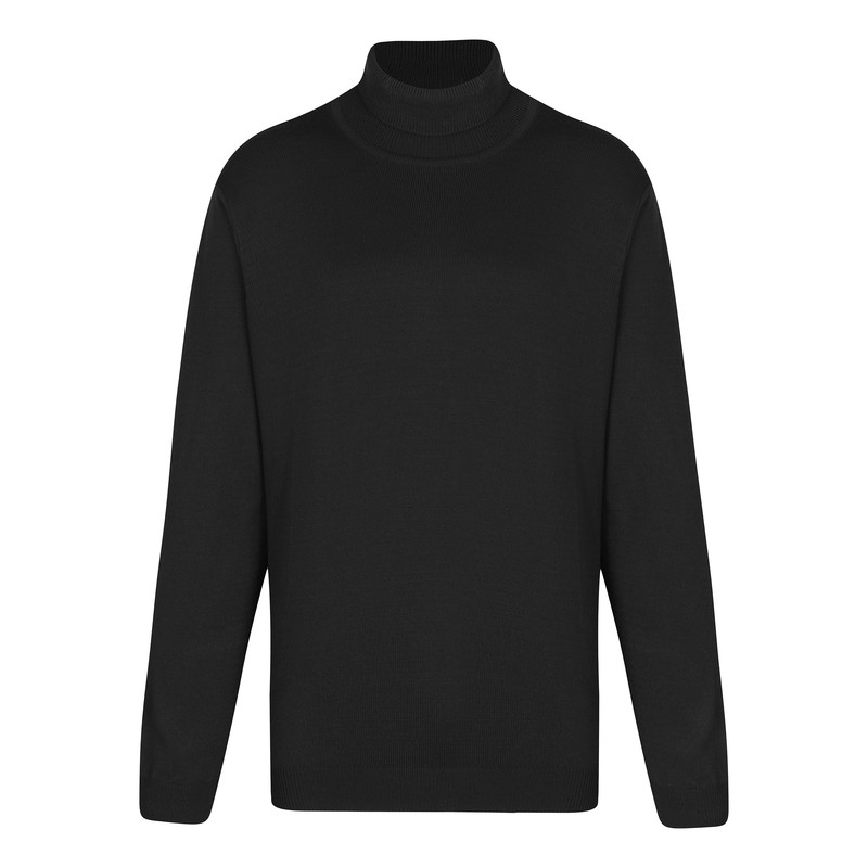 پلیور یقه اسکی مردانه ایزی دو مدل 2010004101700