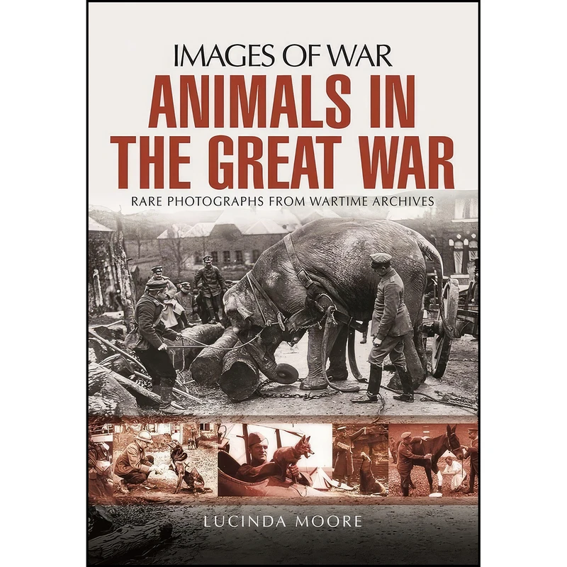 کتاب Animals in the Great War  اثر Lucinda Moore انتشارات Pen and Sword Military
