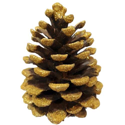 میوه تزیینی مدل کاج طلایی