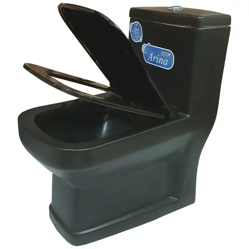توالت فرنگی دو زمانه سینا چینی مدل آرینا