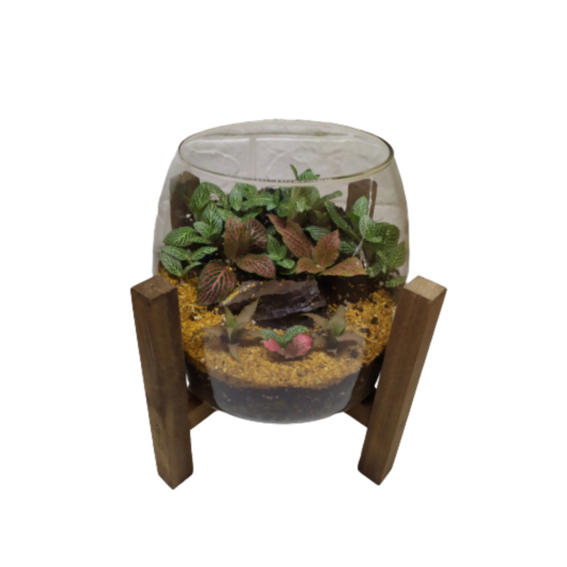 تراریوم گیاه طبیعی مدل آهو تراریوم گیاه طبیعی مدل آهو