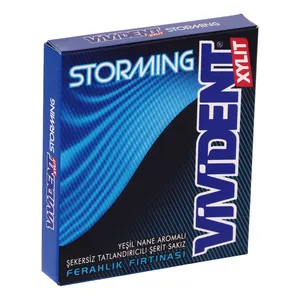 آدامس بدون شکر طعم نعنا ویویدنت - 33 گرم