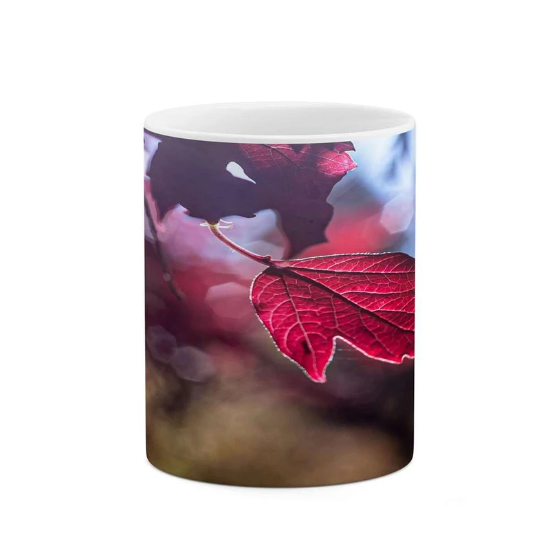 ماگ کاکتی مدل برگ کد mgh16821