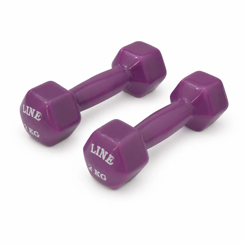 دمبل مدل GS-M-333337 وزن 2 کیلوگرم بسته دو عددی