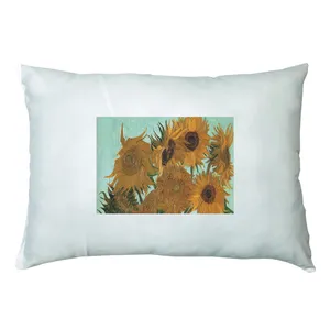 بالش مدل نقاشی