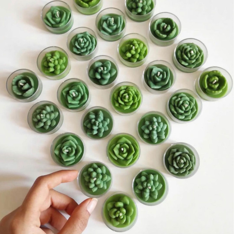 قالب شمع مدل کاکتوس مینیاتوری 5 تایی