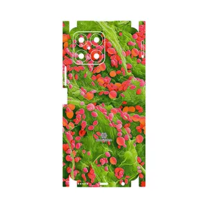 MAHOOT Atom Universe 3-FullSkin Cover Sticker for Honor X8