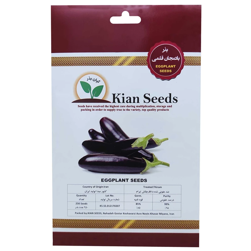بذر بادمجان قلمی کیان بذر کد KBZ-14