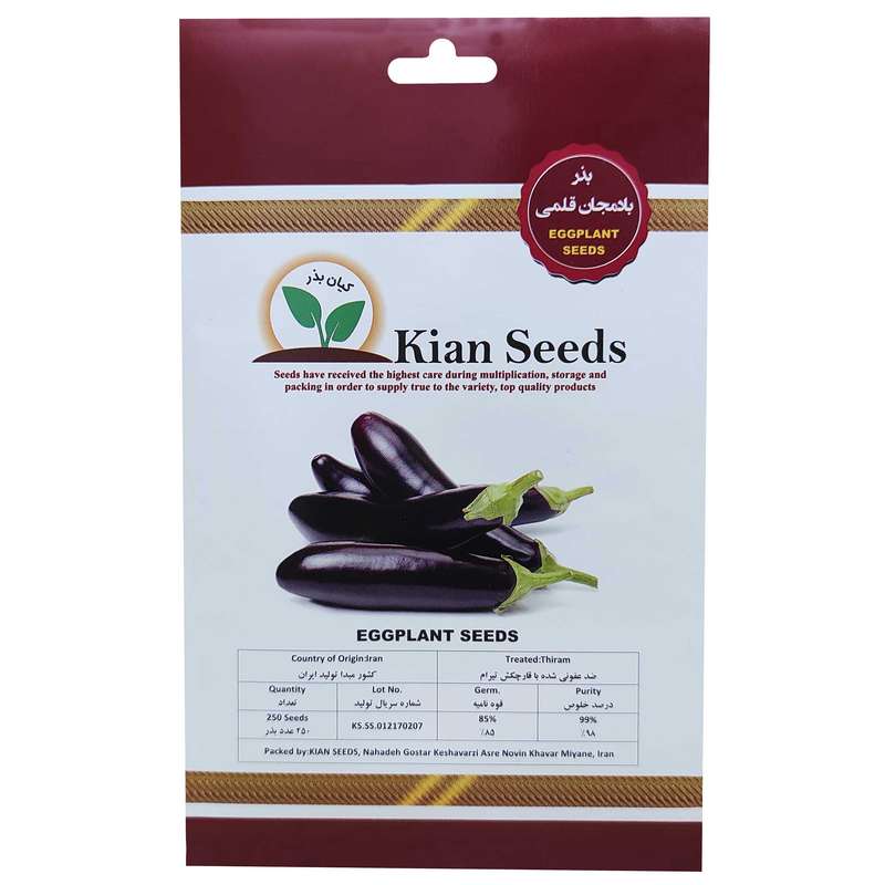 بذر بادمجان قلمی کیان بذر کد KBZ-14 بذر بادمجان قلمی کیان بذر کد KBZ-14