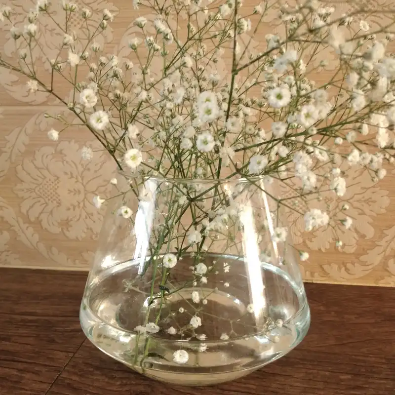 گلدان شیشه ای مدل مینا بسته 2 عددی